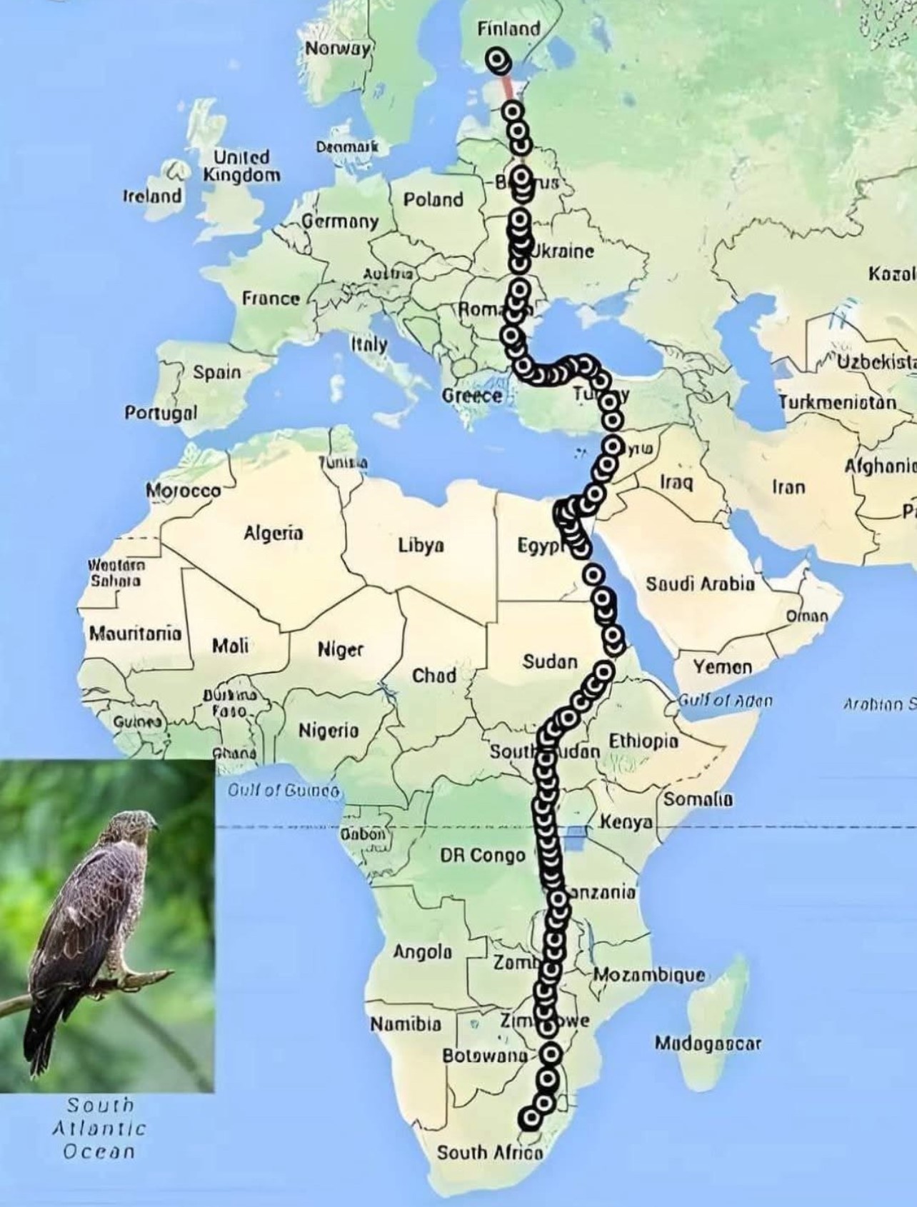 Migration de la buse